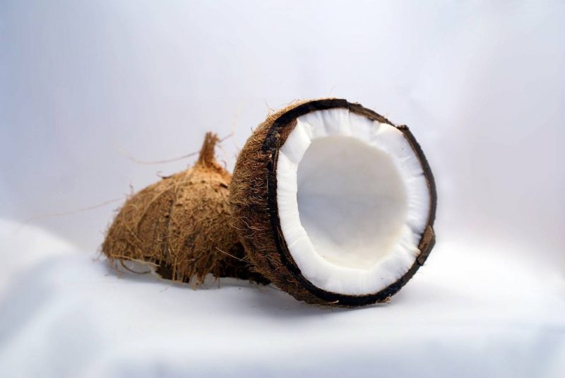 coconut-1125_1280