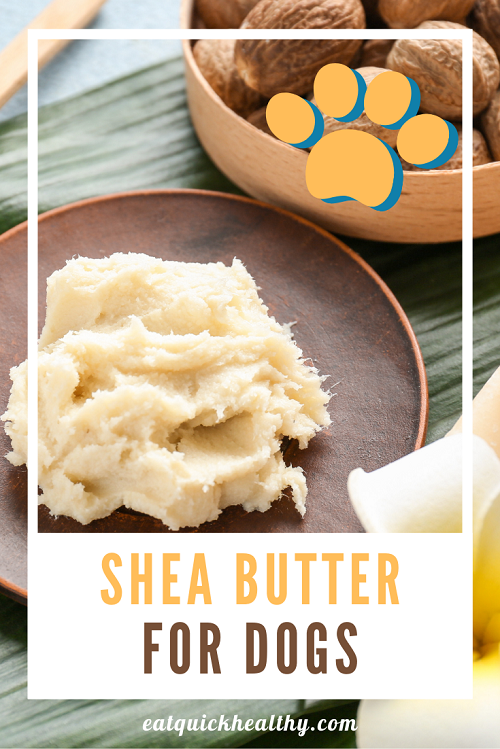 Shea Butter For Dogs: Is It Good For Them?