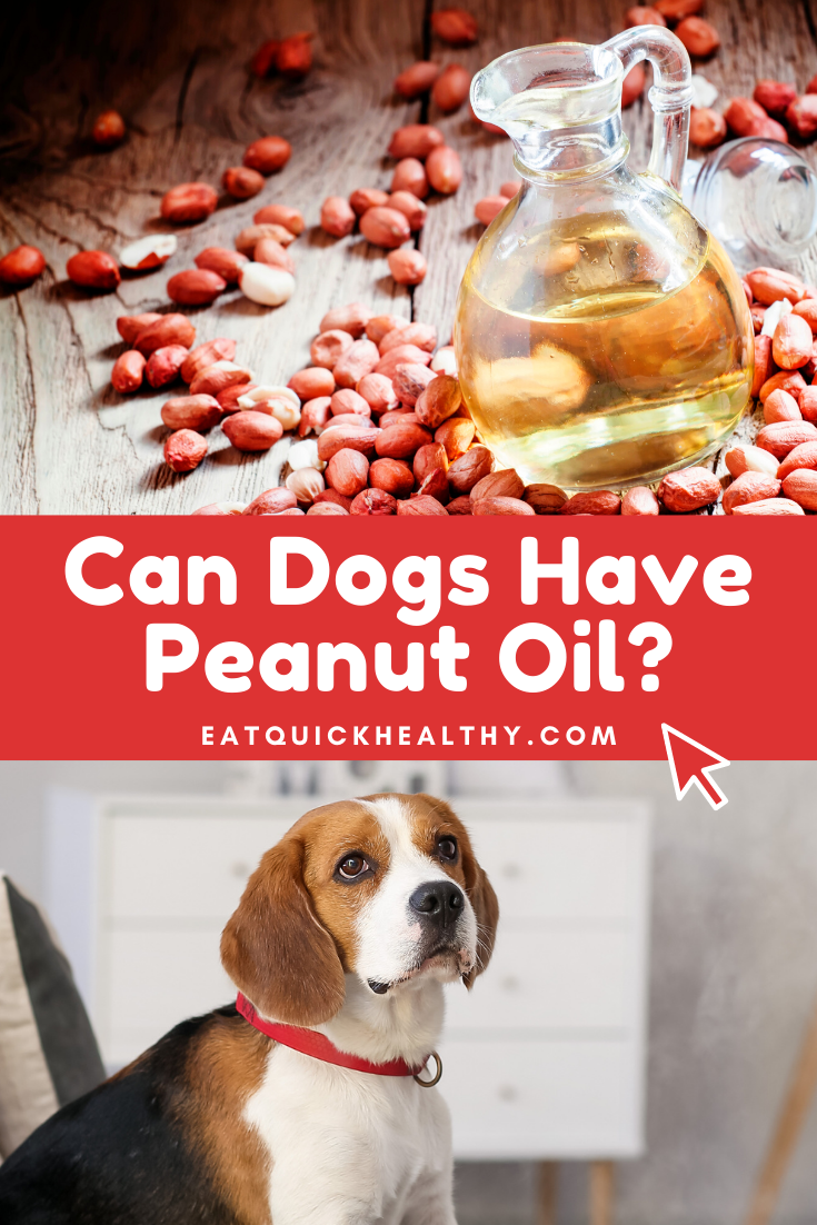 Can Dogs Have Peanut Oil