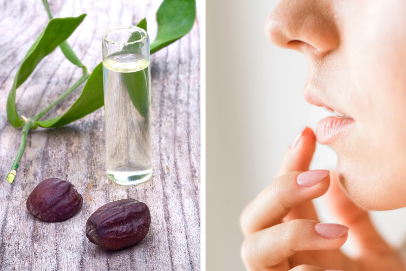 Jojoba Oil For Lips: Benefits And How To Use