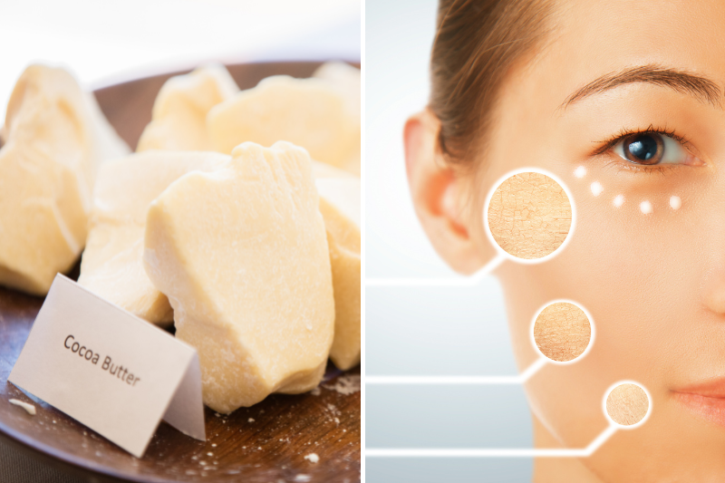 Cocoa Butter For Dry Skin: Benefits And How To Use
